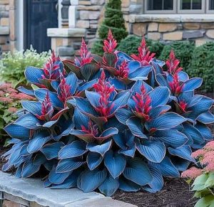 Хоста Грин Фог купить по цене от 669р. в интернет-магазине «Посадика» с доставкой почтой в в Торжоке и по всей России – [изображение №1].