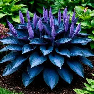 Хоста Сикрет Гров купить по цене от 570р. в интернет-магазине «Посадика» с доставкой почтой в в Торжоке и по всей России – [изображение №1].